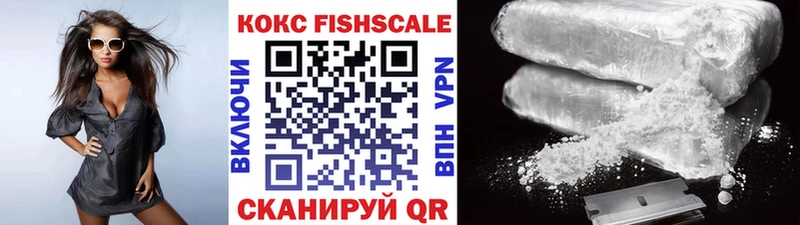 Cocaine Fish Scale  mega как войти  Кондопога 