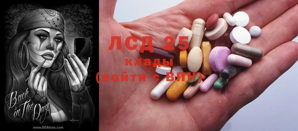 сатива Иннополис