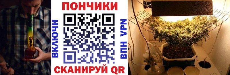 МАРИХУАНА планчик  Кондопога 